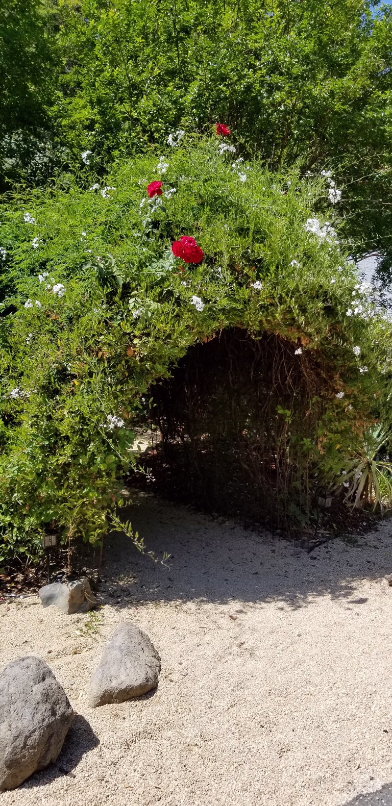 image3.jpeg
