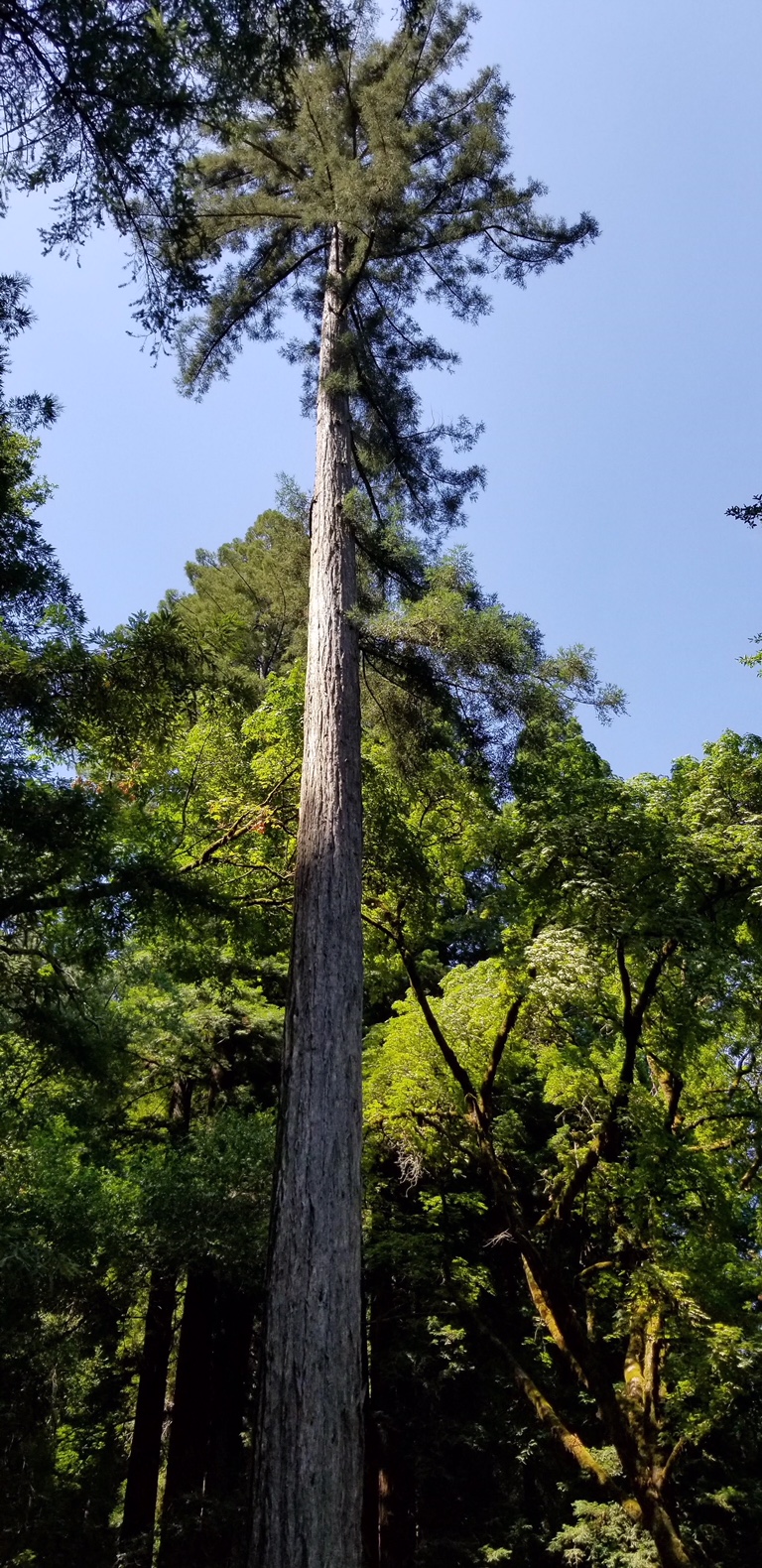 image4.jpeg