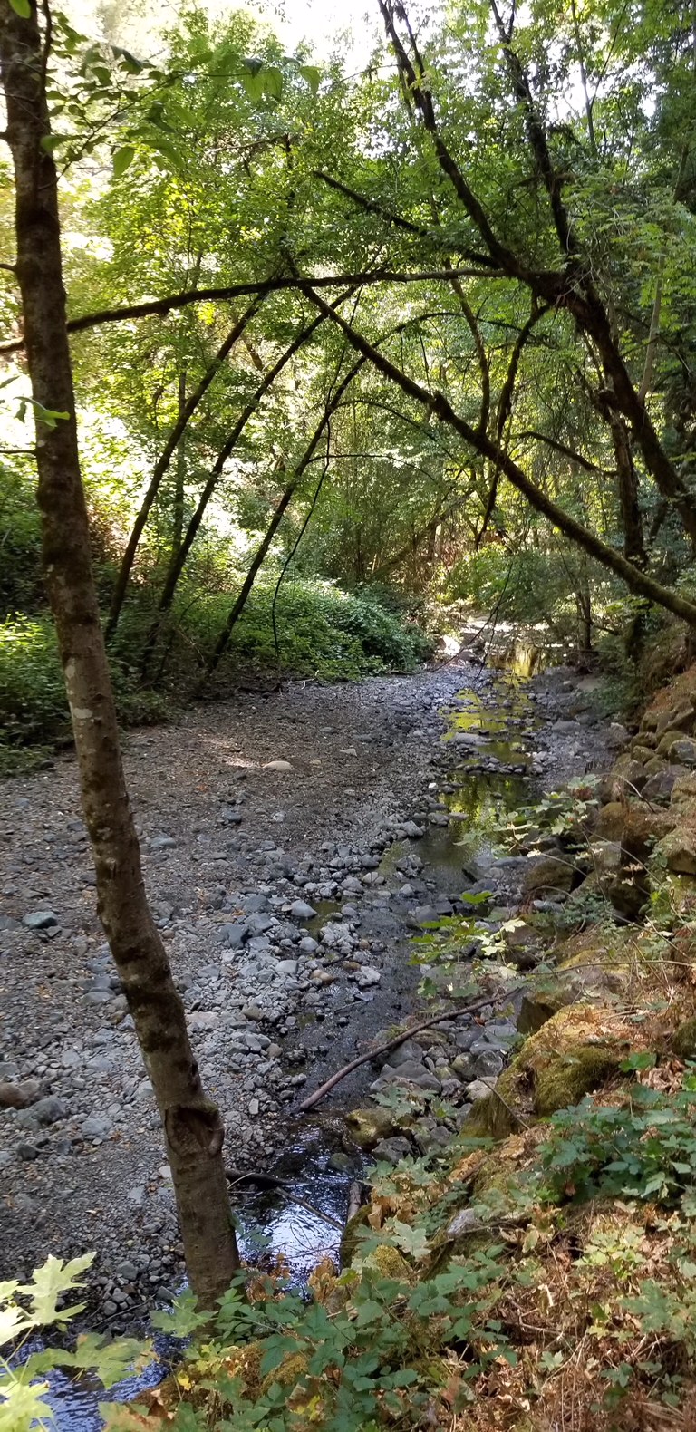 image5.jpeg