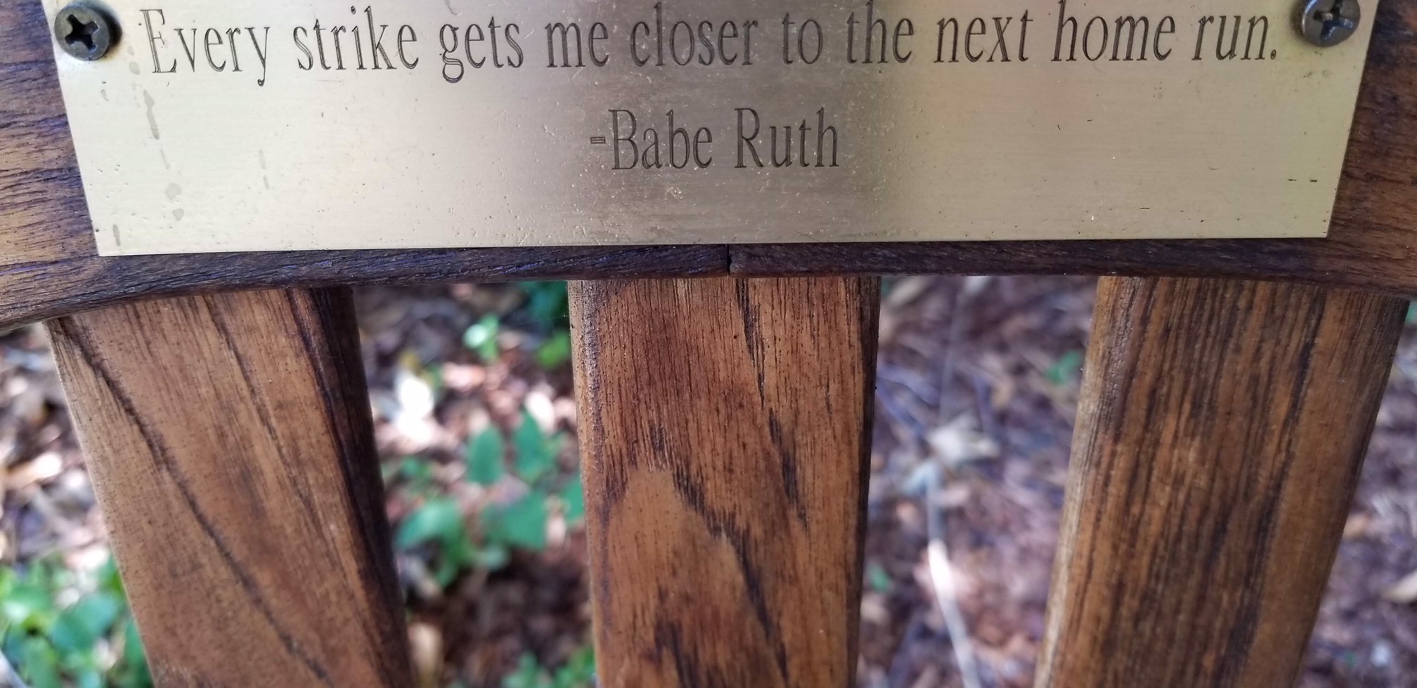 image6.jpeg